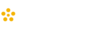 SafeToNet Foundation